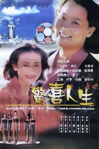 驚喜人生海報