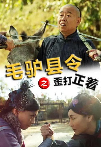 毛驢縣令之歪打正著海報