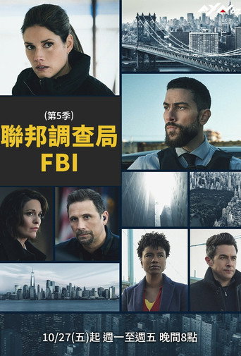 聯邦調查局FBI 第 5 季海報