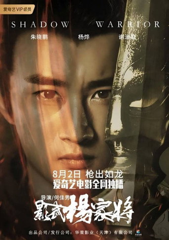 影武楊家將海報