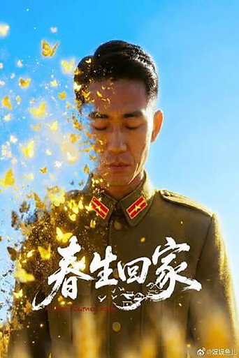 春生回家海報