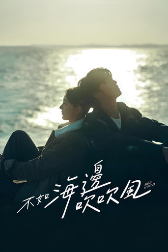 不如海邊吹吹風海報