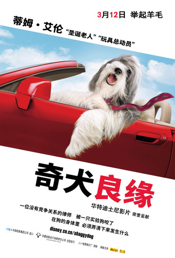 長毛狗海報