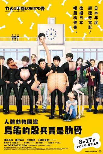 人體動物圖鑑:烏龜的殼其實是肋骨海報