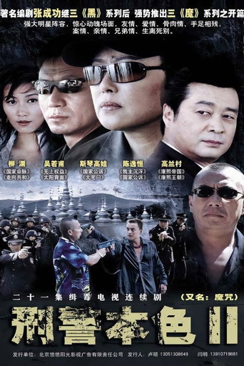 刑警本色 第 2 季海報