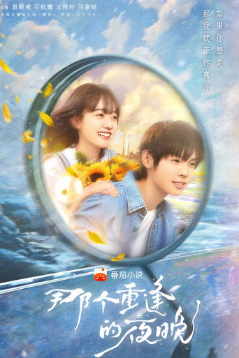 那個重逢的夜晚海報