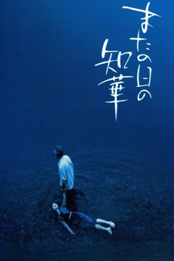 來日知華海報