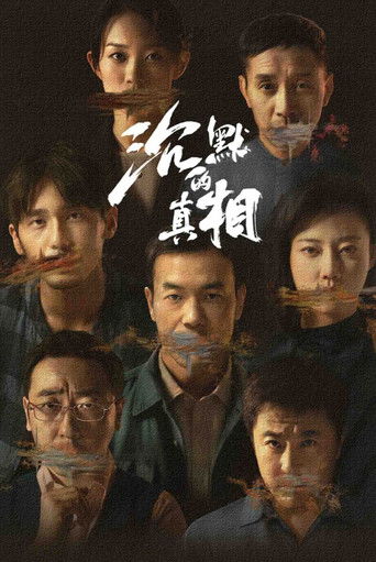 沉默的真相海報