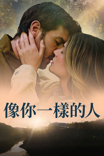 像你一樣的人海報