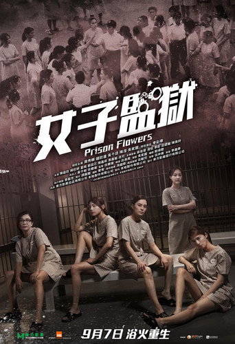 女囚風暴1995海報