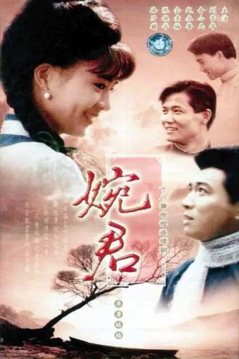 婉君海報