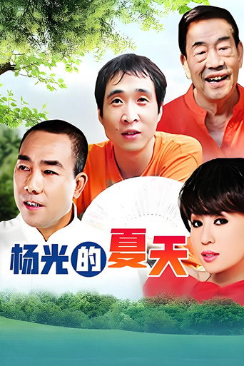 楊光的夏天海報