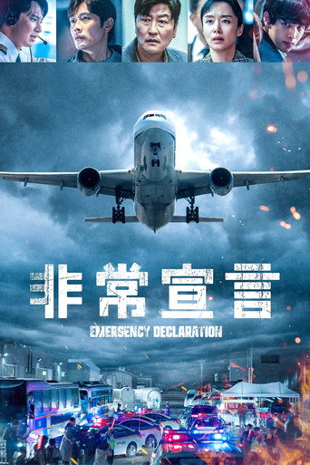 緊急迫降海報