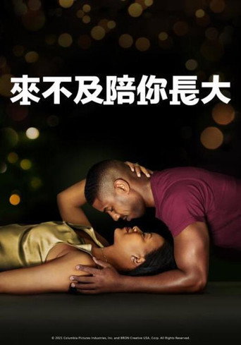 來不及陪你長大海報