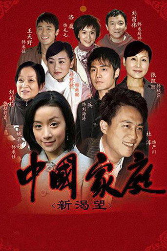 中國家庭之新渴望海報