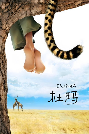 小豹杜瑪海報