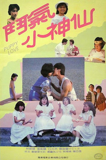 鬥氣小神仙海報