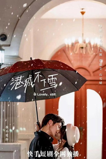 港城不下雪海報