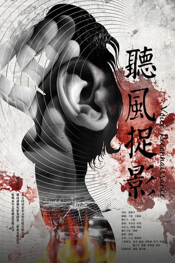 聽風捉影海報