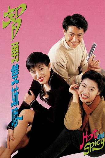智勇雙妹嘜海報