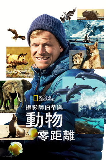 攝影師伯蒂與動物零距離海報