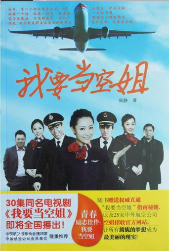 我要當空姐海報