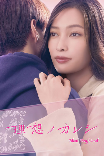 理想的男友海報