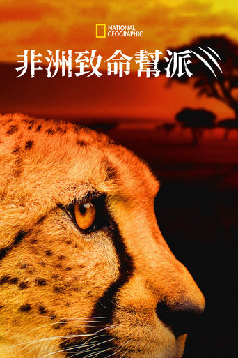 非洲最致命動物海報