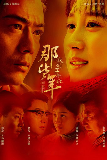 那些年,我們正年輕海報