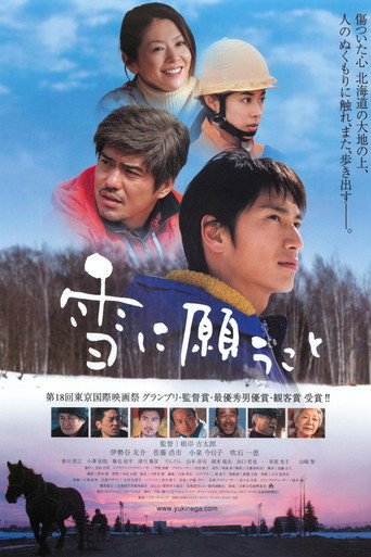 向雪祈禱海報