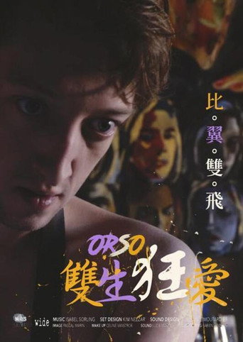 雙生狂愛海報