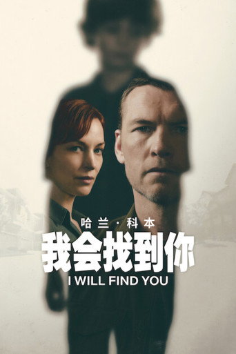 我會找到你海報