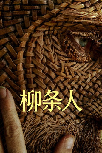 就是柳柳的他海報