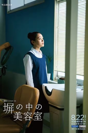 高牆內的髮廊海報