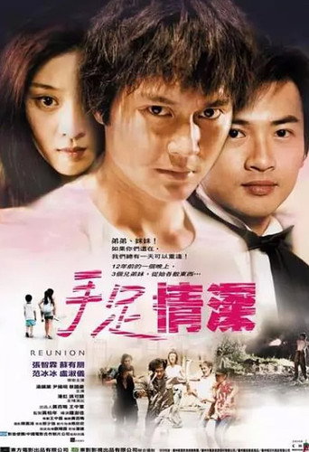 手足情深海報