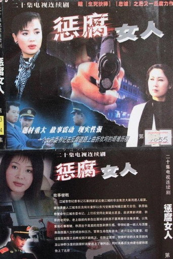 懲腐女人海報