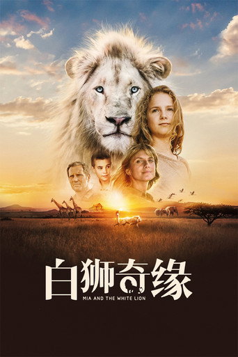 我和我的小白獅王海報