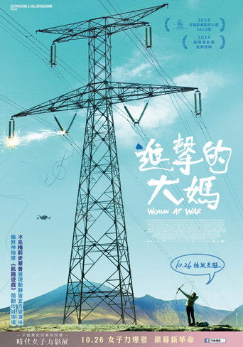 進擊的大媽海報
