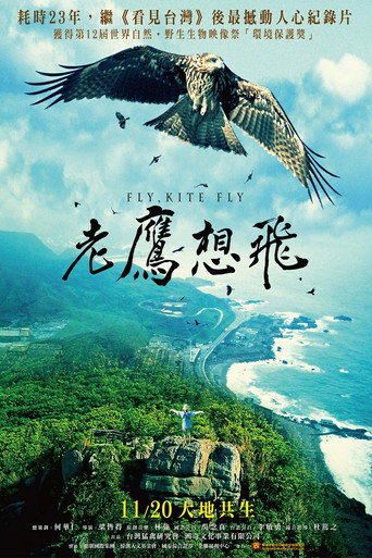 老鷹想飛海報