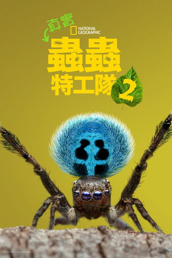 真實蟲蟲危機 第 2 季海報