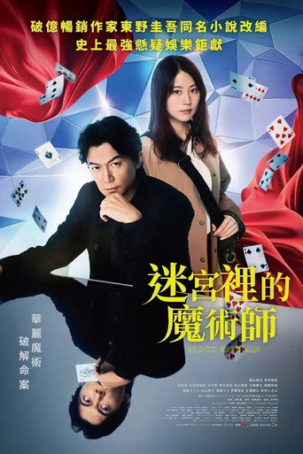迷宮裡的魔術師海報