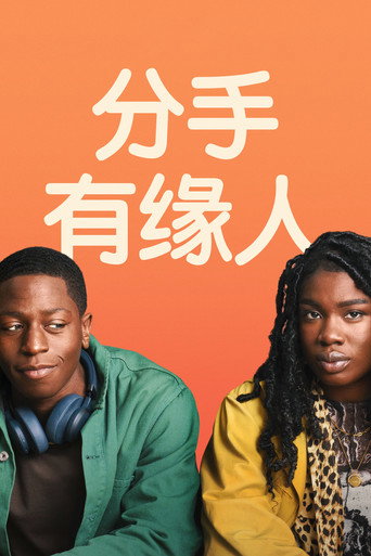 分手有緣人海報