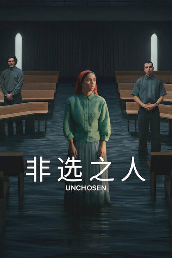 非選之人海報