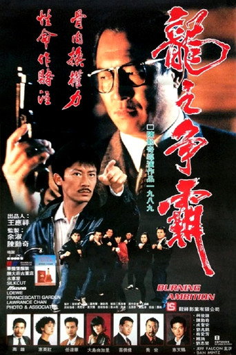 龍之爭霸海報