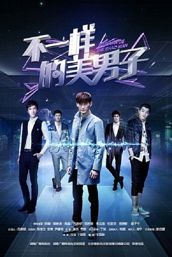 不一樣的美男子海報