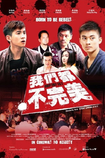 我們都不完美海報