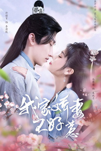 我家嬌妻不好惹海報