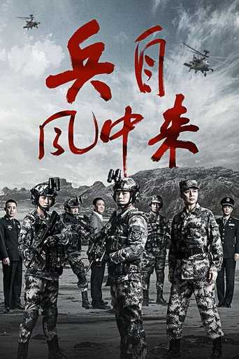 兵自風中來海報