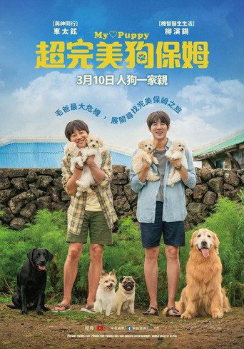 超完美狗保姆海報