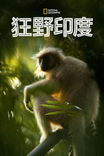 國家地理:狂野印度海報